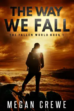 the way we fall book cover image