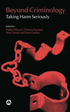 beyond criminology book cover image