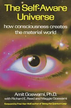 the self-aware universe book cover image