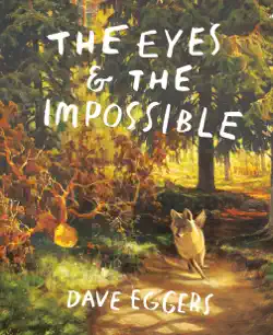 the eyes and the impossible book cover image