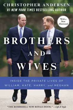 brothers and wives book cover image