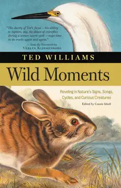 wild moments book cover image