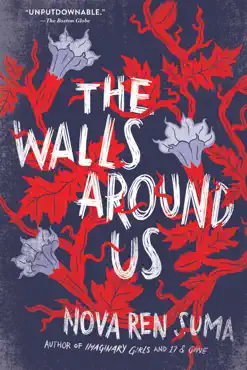 the walls around us book cover image