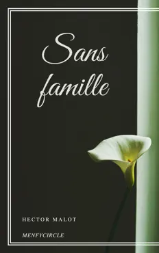 sans famille book cover image