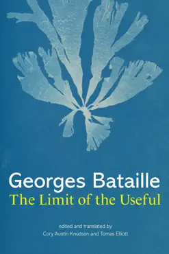 the limit of the useful book cover image