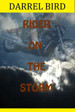 rider on the storm book cover image