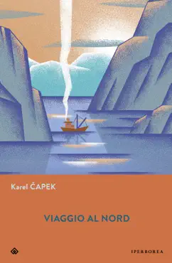 viaggio al nord book cover image