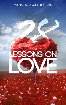 28 lessons on love book cover image