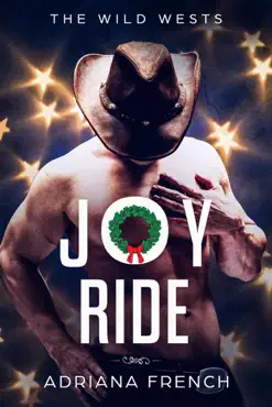 joy ride book cover image