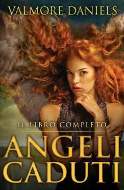 angeli caduti il libro completo book cover image