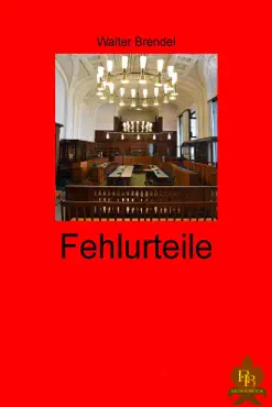 fehlurteile book cover image