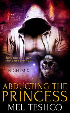 abducting the princess book cover image