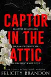Captor In The Attic synopsis, comments