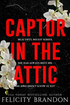 captor in the attic book cover image