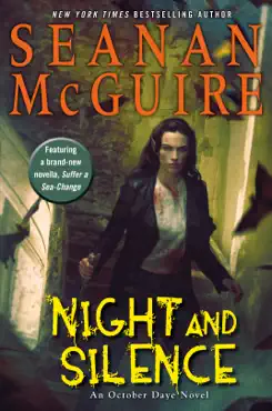 night and silence book cover image
