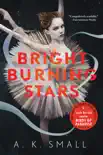 Bright Burning Stars synopsis, comments