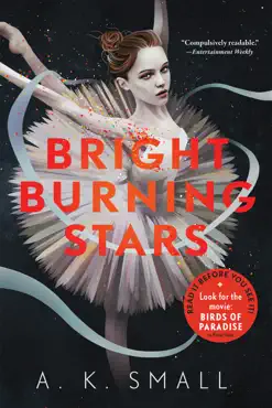 bright burning stars book cover image