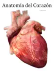 Anatomía del Corazón sinopsis y comentarios