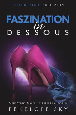 faszination in dessous book cover image