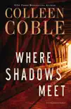 Where Shadows Meet synopsis, comments