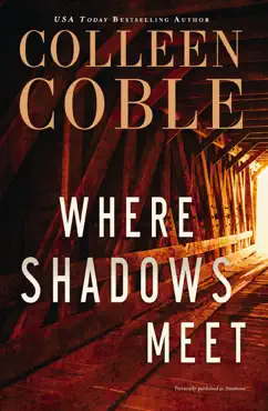 where shadows meet book cover image