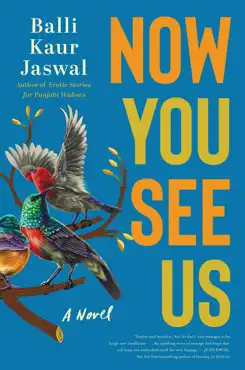 now you see us book cover image