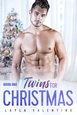 twins for christmas book cover image
