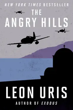 the angry hills book cover image