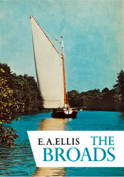 the broads book cover image