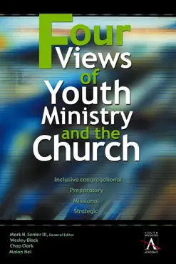 four views of youth ministry and the church book cover image