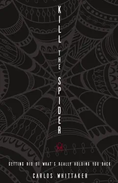 kill the spider book cover image