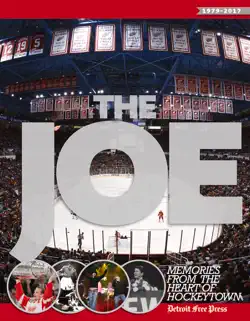 the joe book cover image