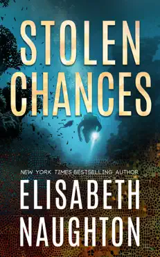 stolen chances book cover image