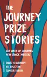 The Journey Prize Stories 33 synopsis, comments