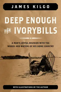 deep enough for ivorybills book cover image