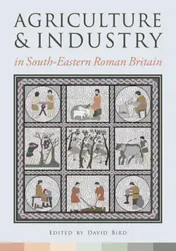 agriculture and industry in south-eastern roman britain book cover image