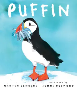 puffin book cover image