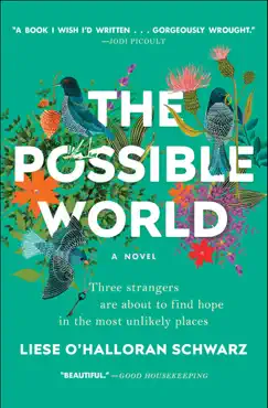 the possible world book cover image