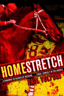 homestretch book cover image