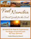 Feel Namibia - A Travel Guide for the Soul synopsis, comments