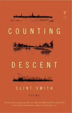counting descent book cover image