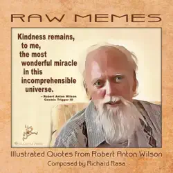 raw memes book cover image