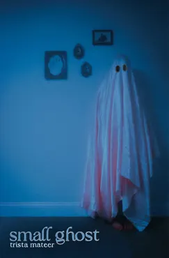 small ghost book cover image