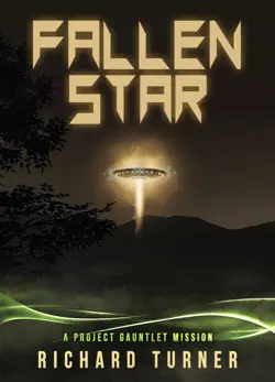 fallen star book cover image