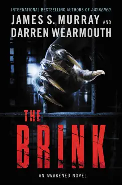 the brink book cover image