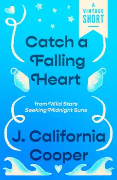 catch a falling heart book cover image
