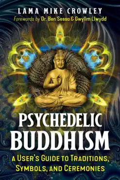psychedelic buddhism book cover image