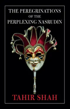the peregrinations of the perplexing nasrudin book cover image