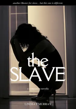 the slave book cover image