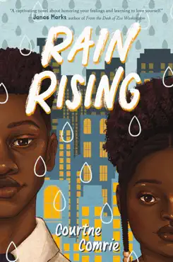 rain rising book cover image